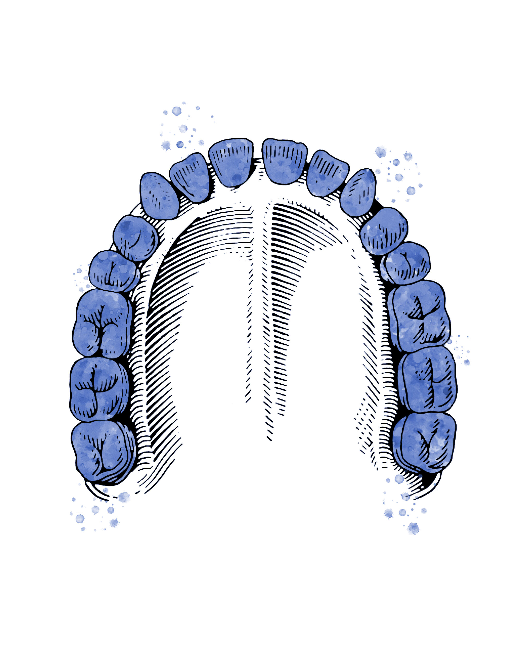 eine Zahnreihe in der Draufsicht
