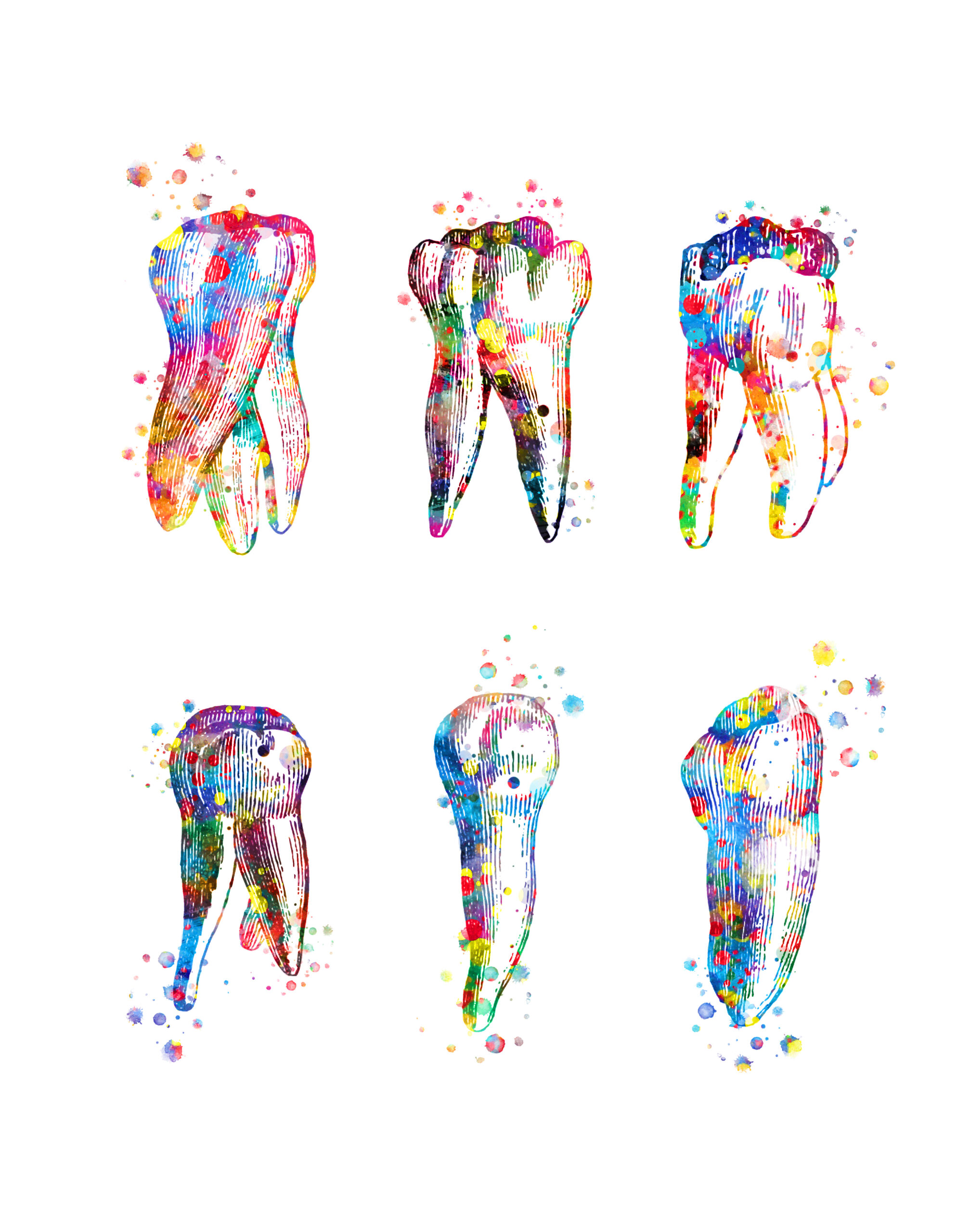 eine farbenfrohe Studie von sechs Zähnen